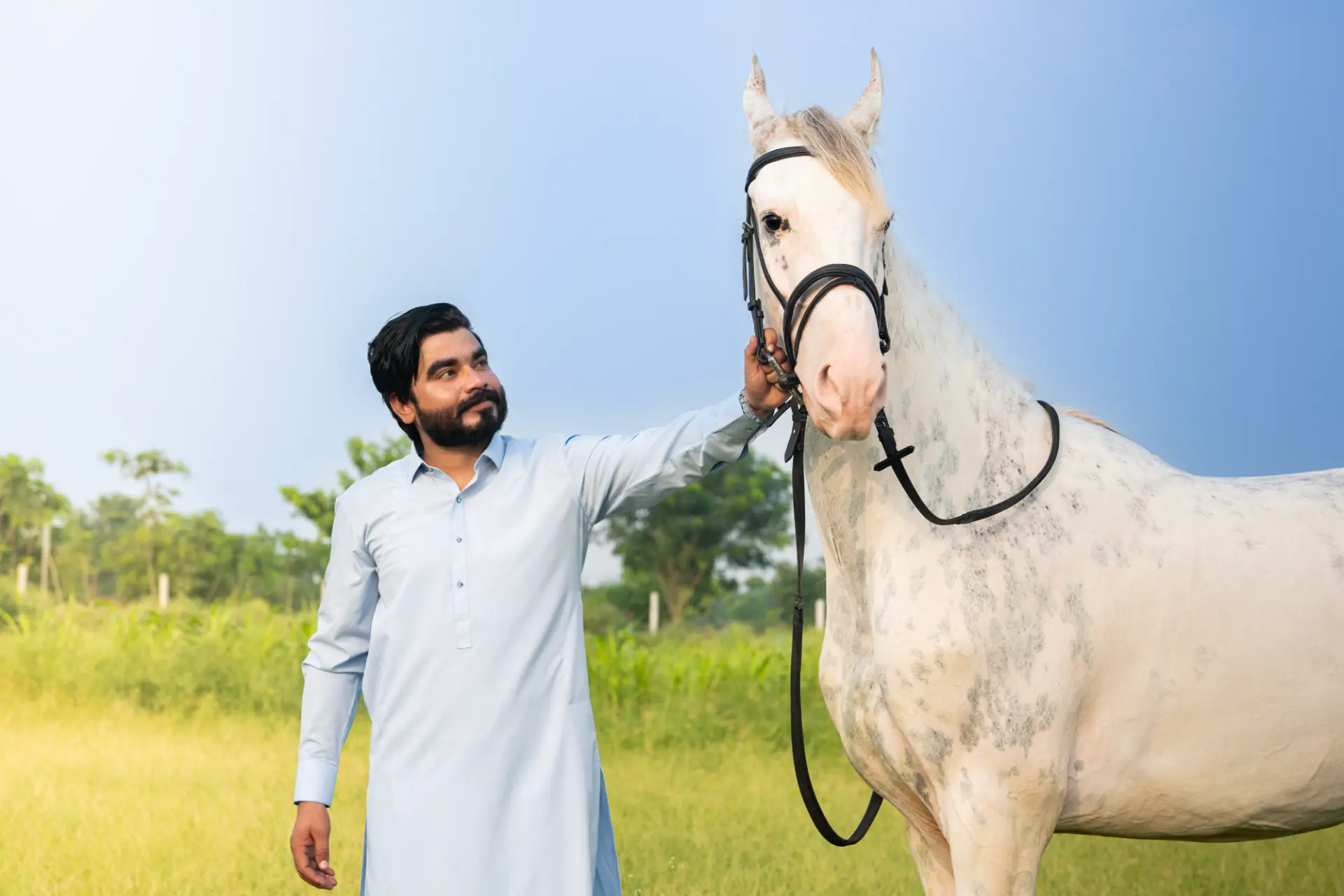 Khizar Omer in a sky-blue kameez beside a white horse in an open field